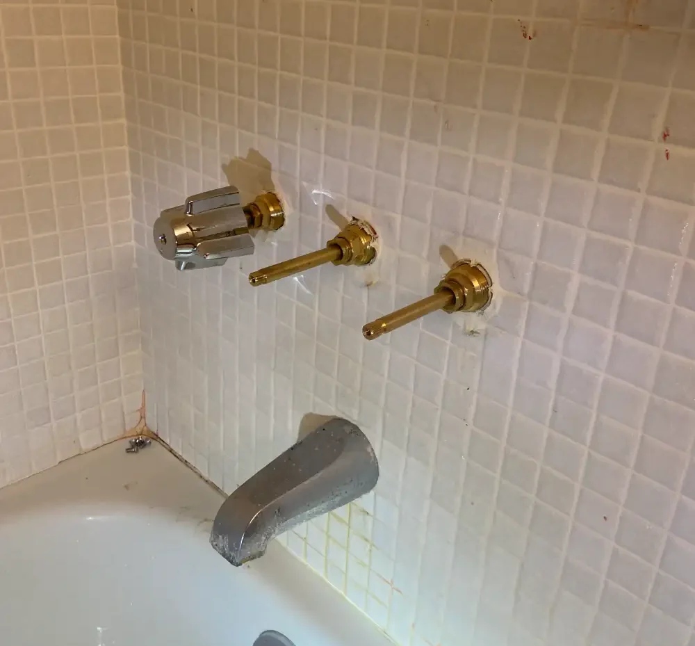 Bathroom Plumbing Valve Replacement (bathtub)