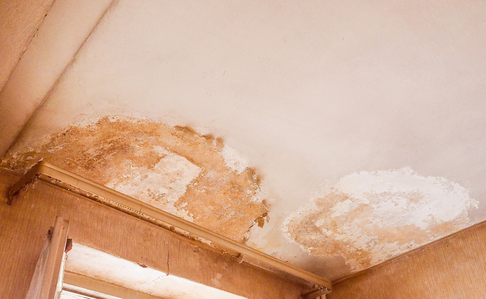 Top Causes of Water Damage in Florida Homes