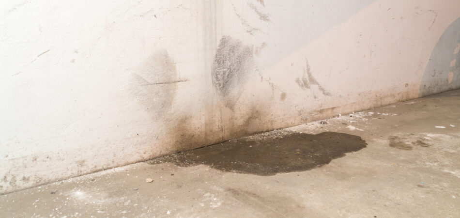 Water,damage,in,basement,caused,by,sanitary,drain.