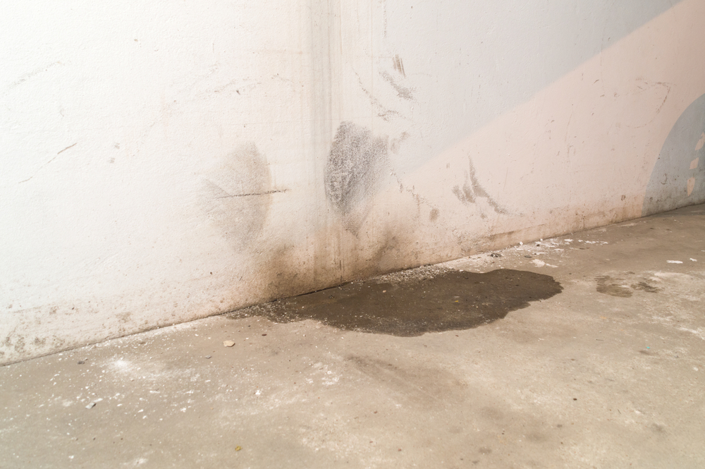 How to Detect a Hidden Water Leak Before It Damages Your Home