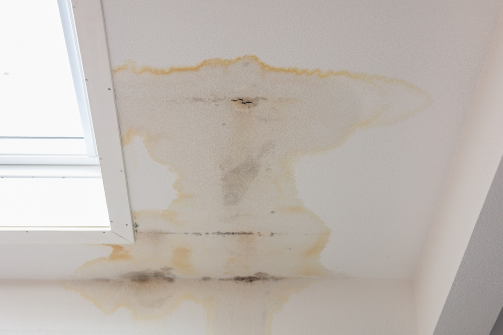 Plumbing Tips: How to Tell If You Have a Hidden Water Leak