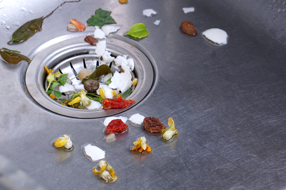 How to Properly Maintain and Clean Your Garbage Disposal to Prevent Clogs