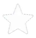 Star Icon